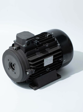 MOTOR 1